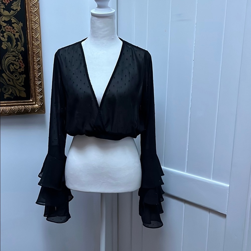 Forever 21 Sheer Long Sleeve Crop Top